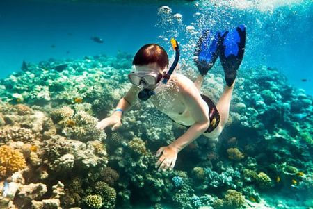 Cham Island Snorkeling 2